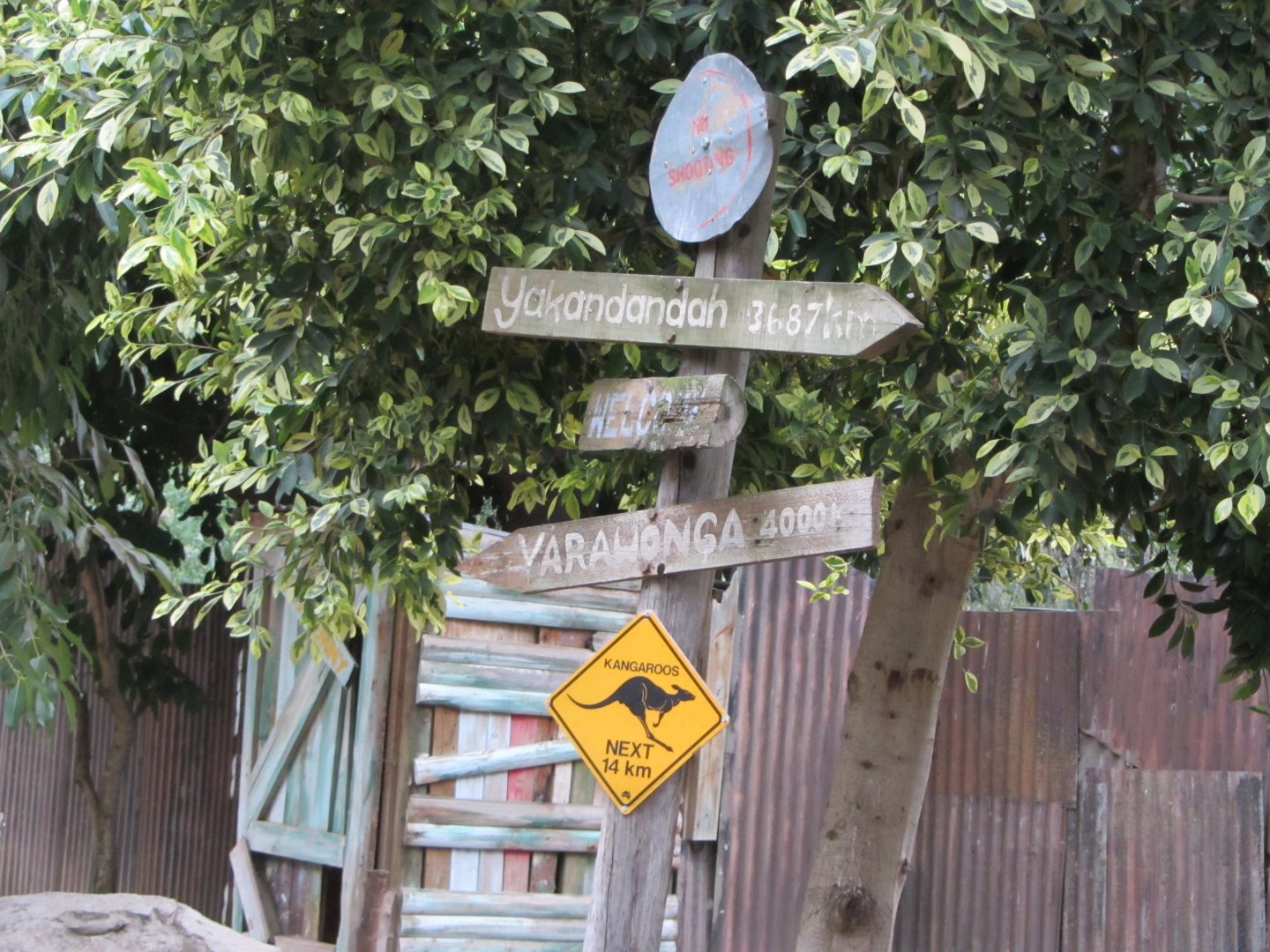 Bennett's Wallaby Walk-Through Exhibit Detail