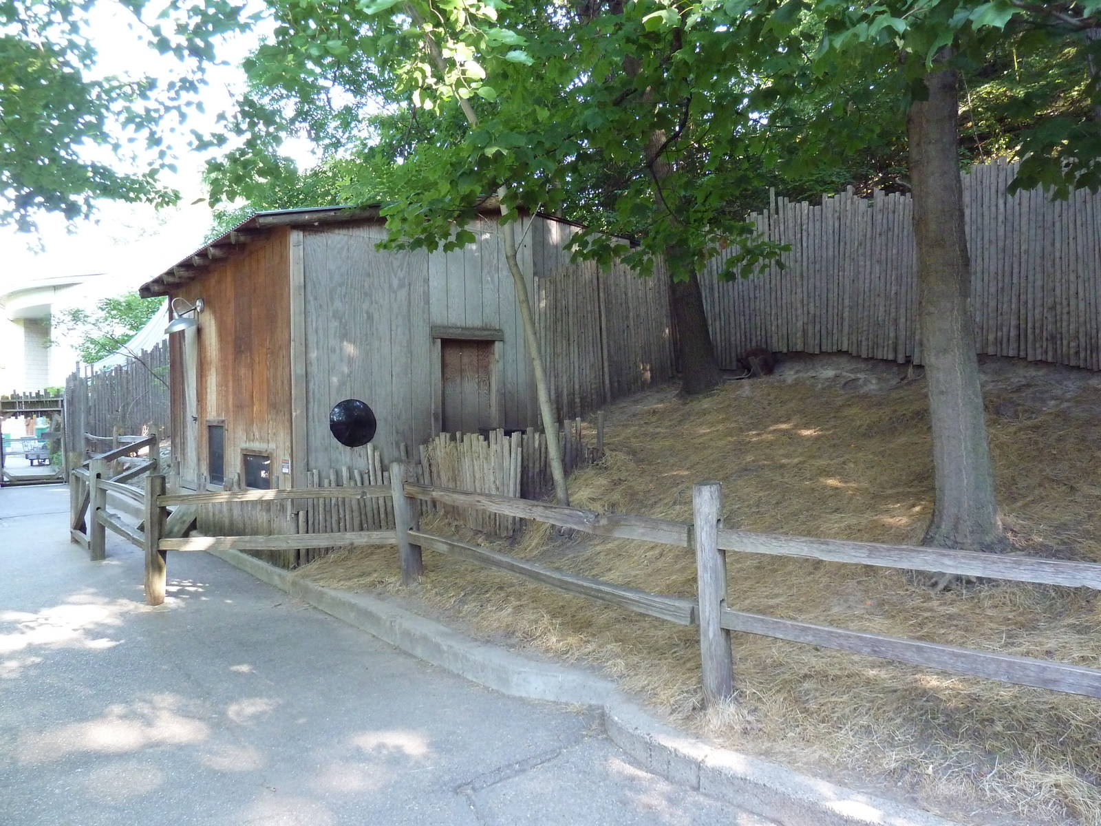 Bennett's Wallaby Walk-Through Exhibit