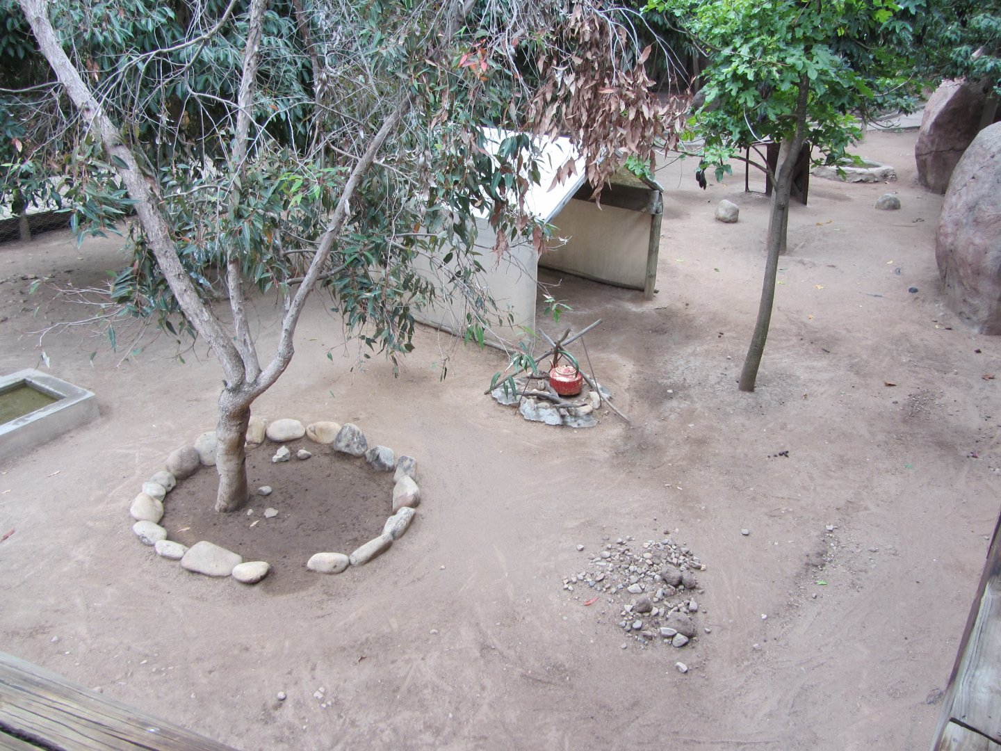 Bennett's Wallaby Walk-through Exhibit