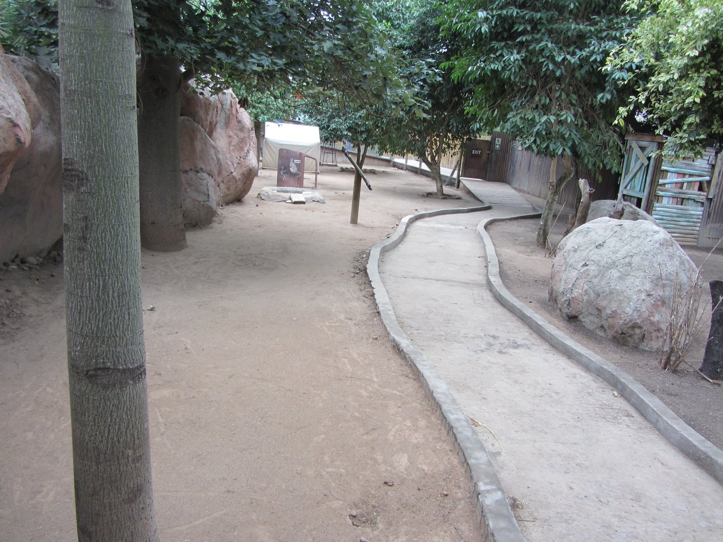 Bennett's Wallaby Walk-Through Exhibit