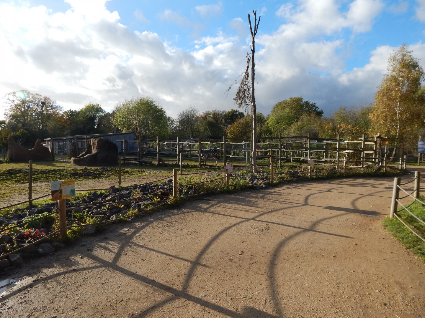 Benoue - Common eland/Grants zebra enclosure 051123