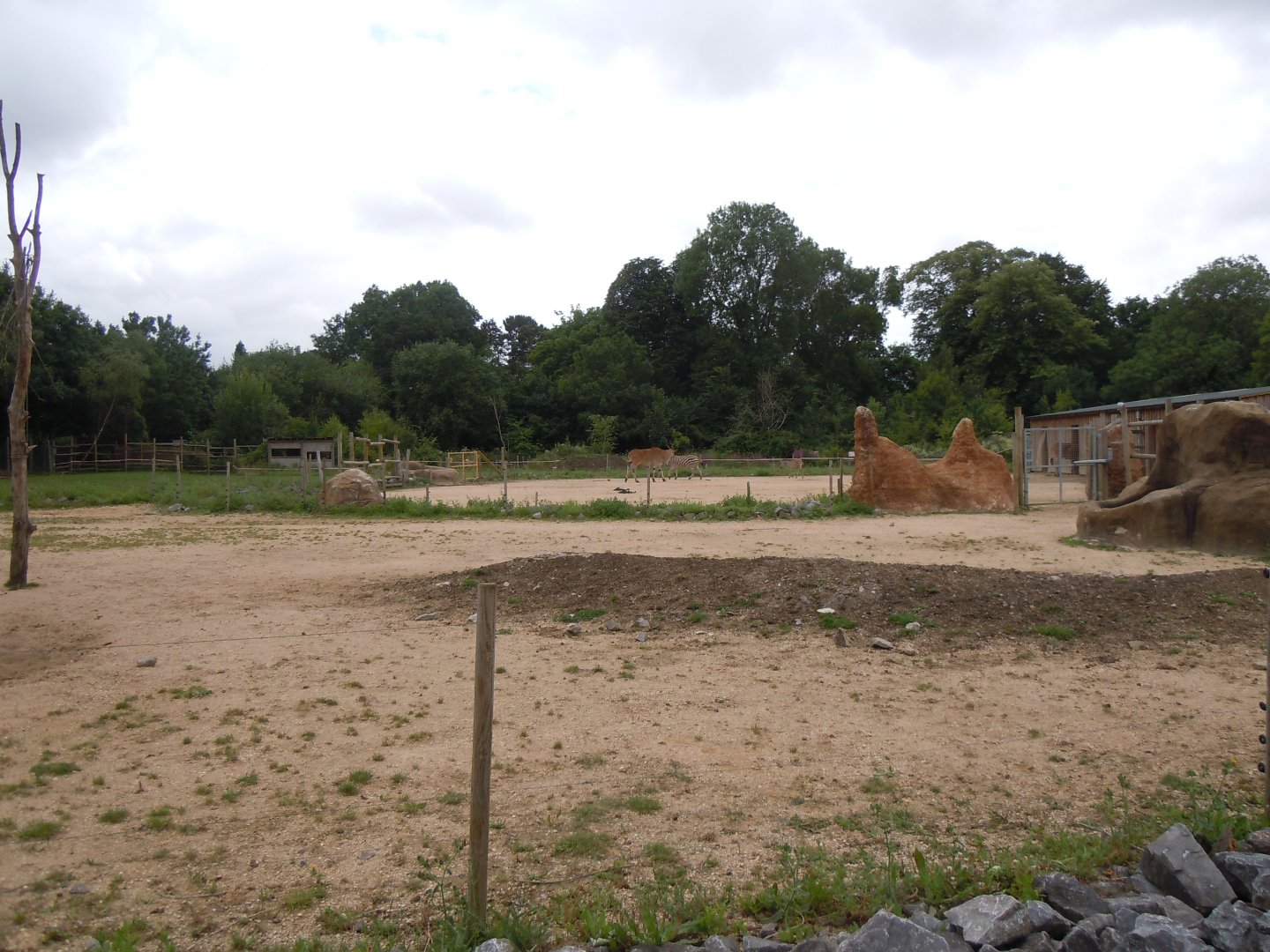 Benoue National Park enclosure 290620