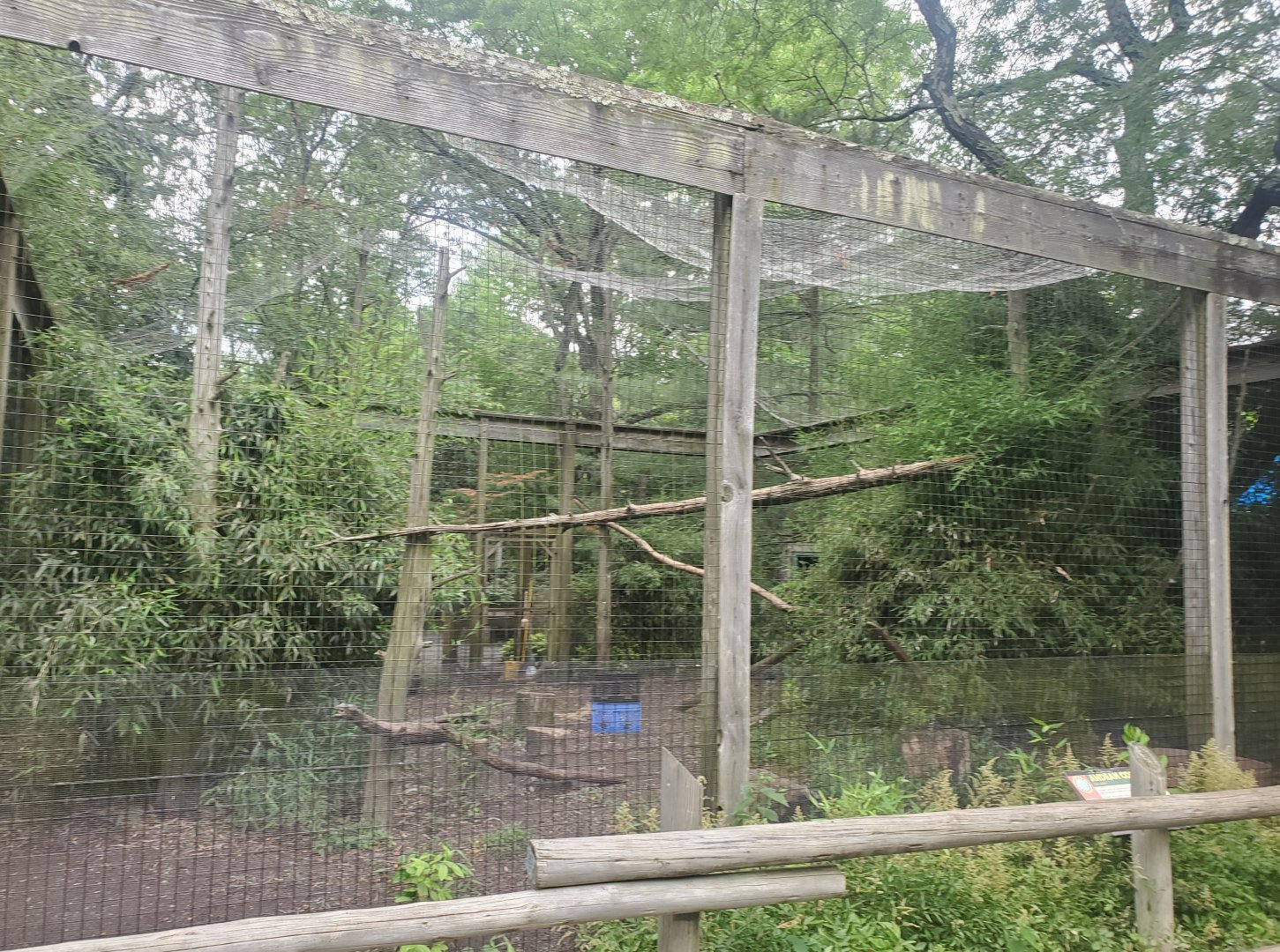 Bergen County Zoo (2022) - Andean Condor enclosure