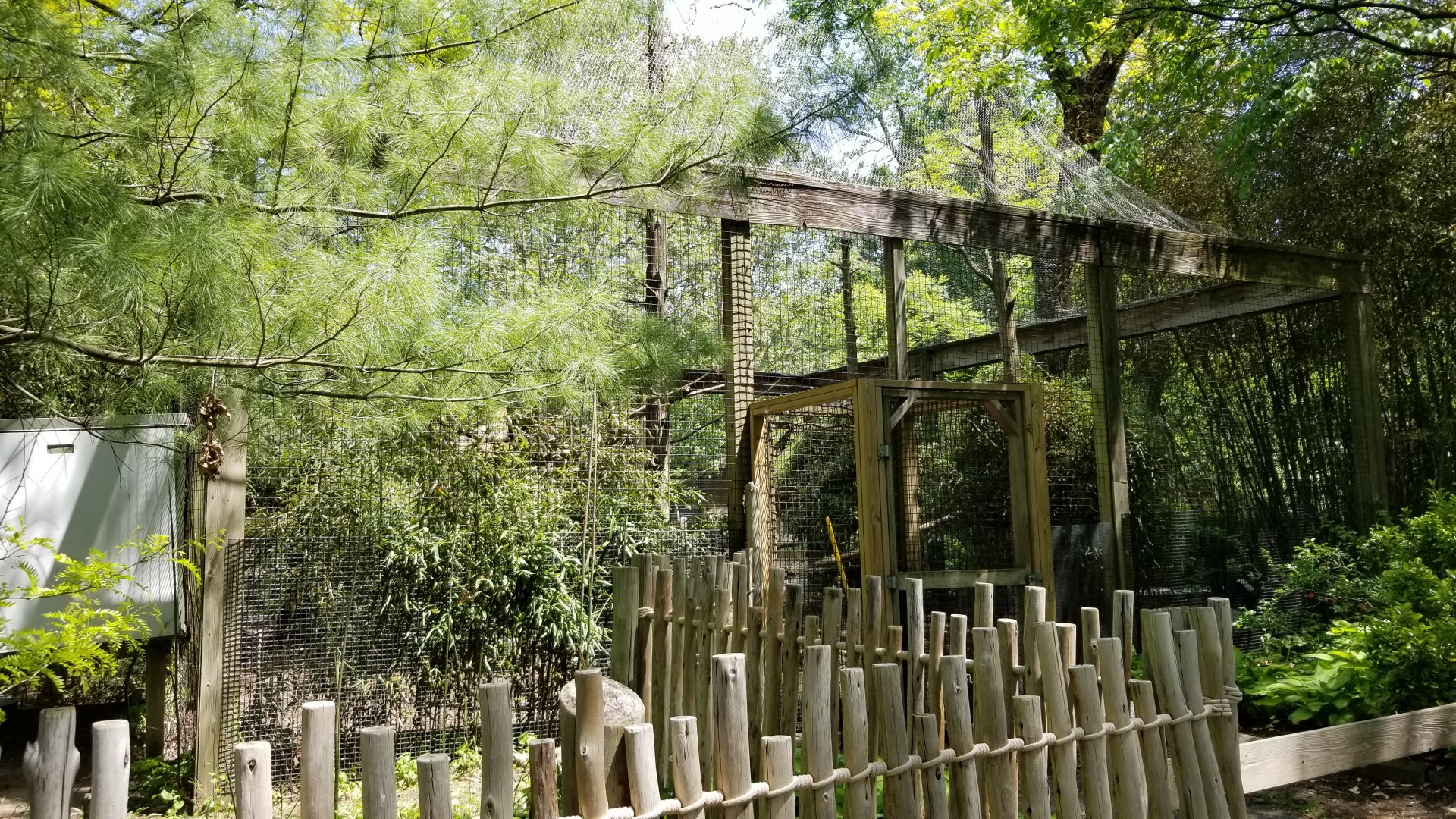 Bergen County Zoo - Andean condor