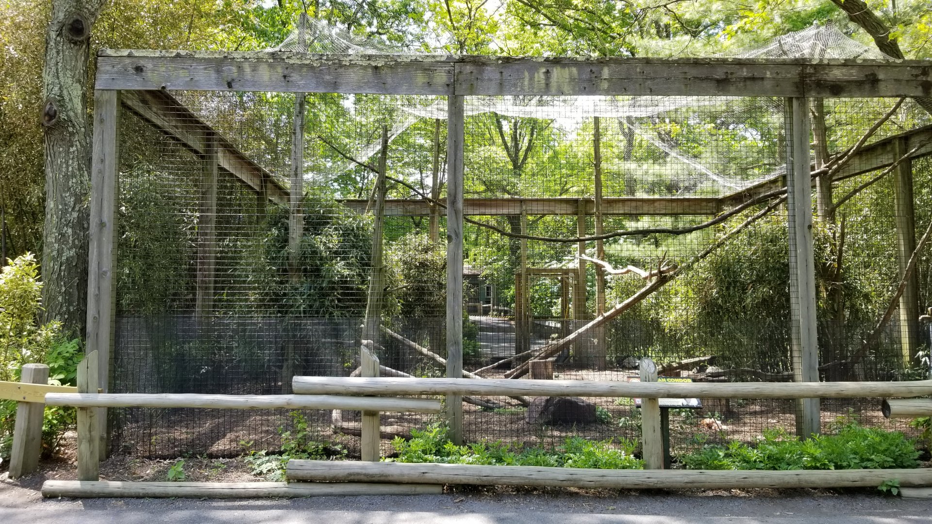 Bergen County Zoo - Andean condor