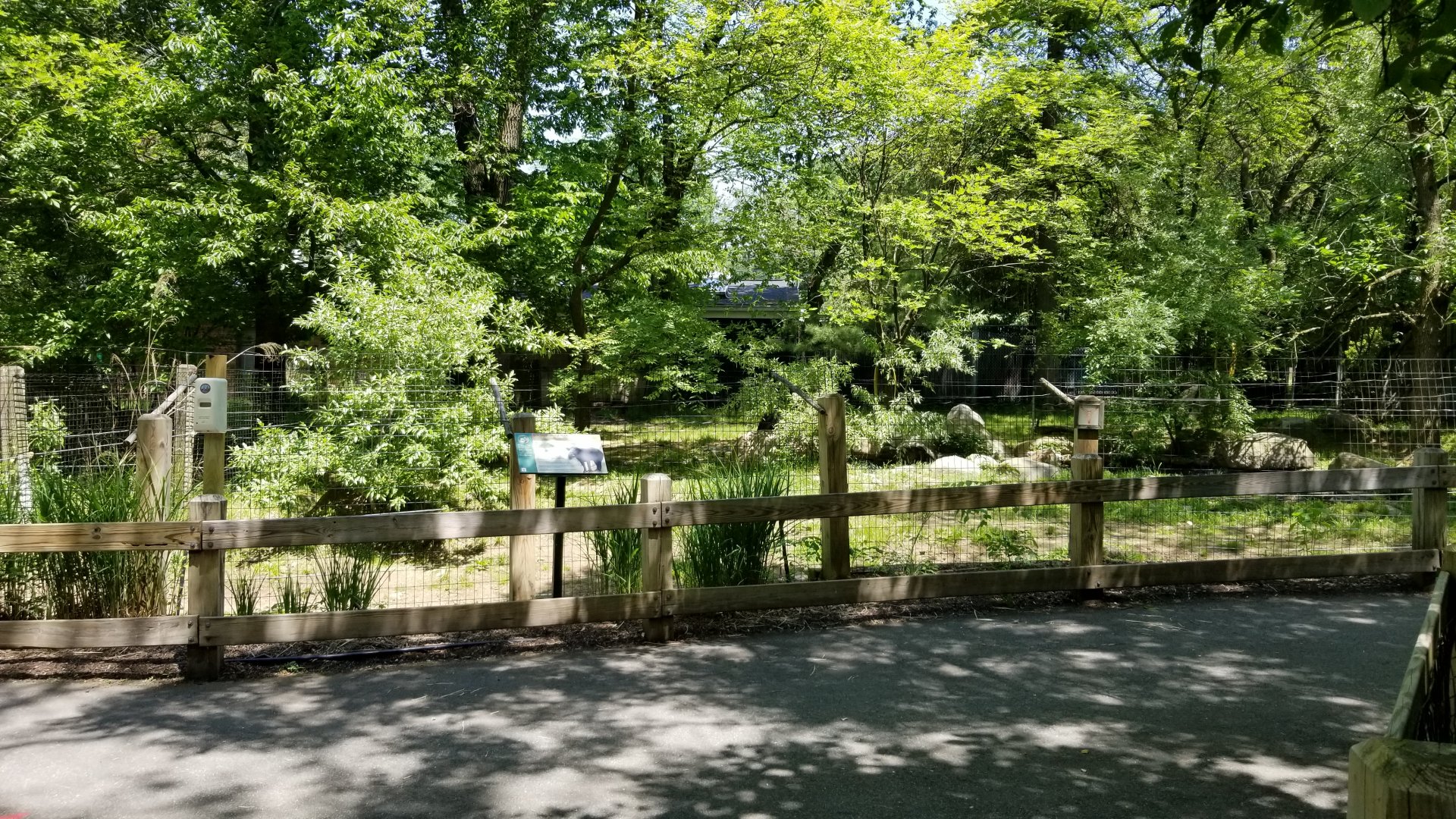 Bergen County Zoo - Baird's tapir