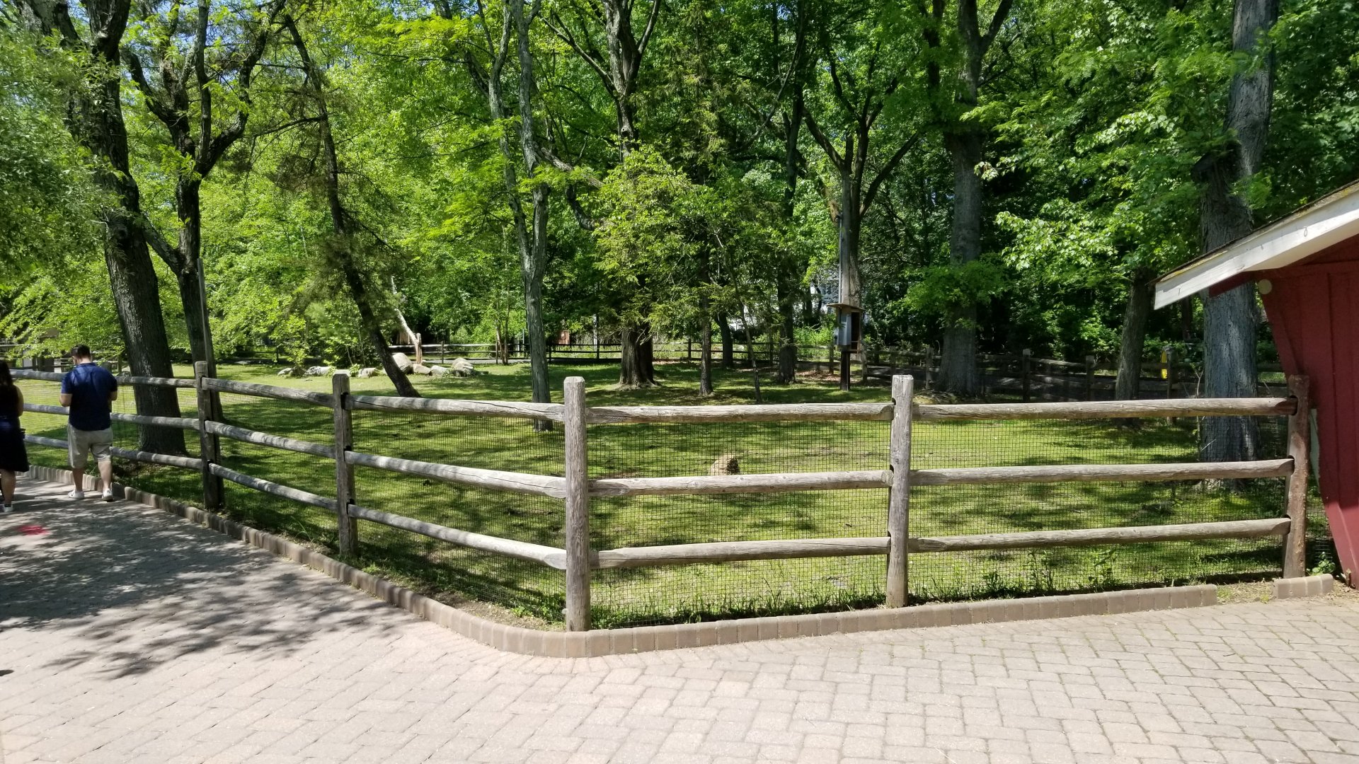 Bergen County Zoo - Belgian horse paddock
