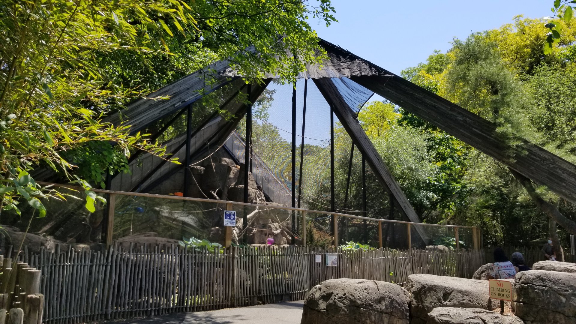 Bergen County Zoo - Black-handed spider monkey