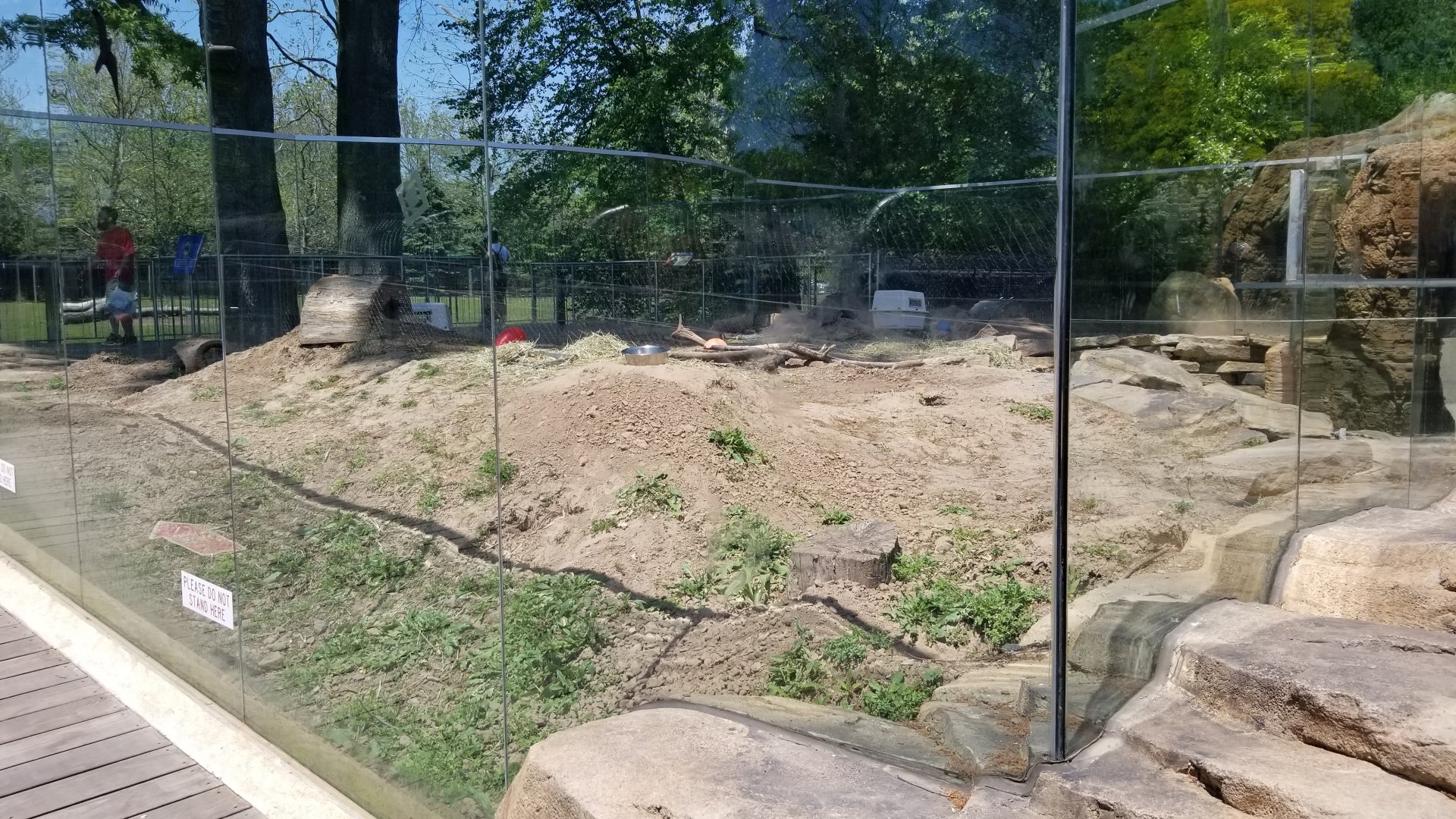 Bergen County Zoo - Black-tailed prairie dogs