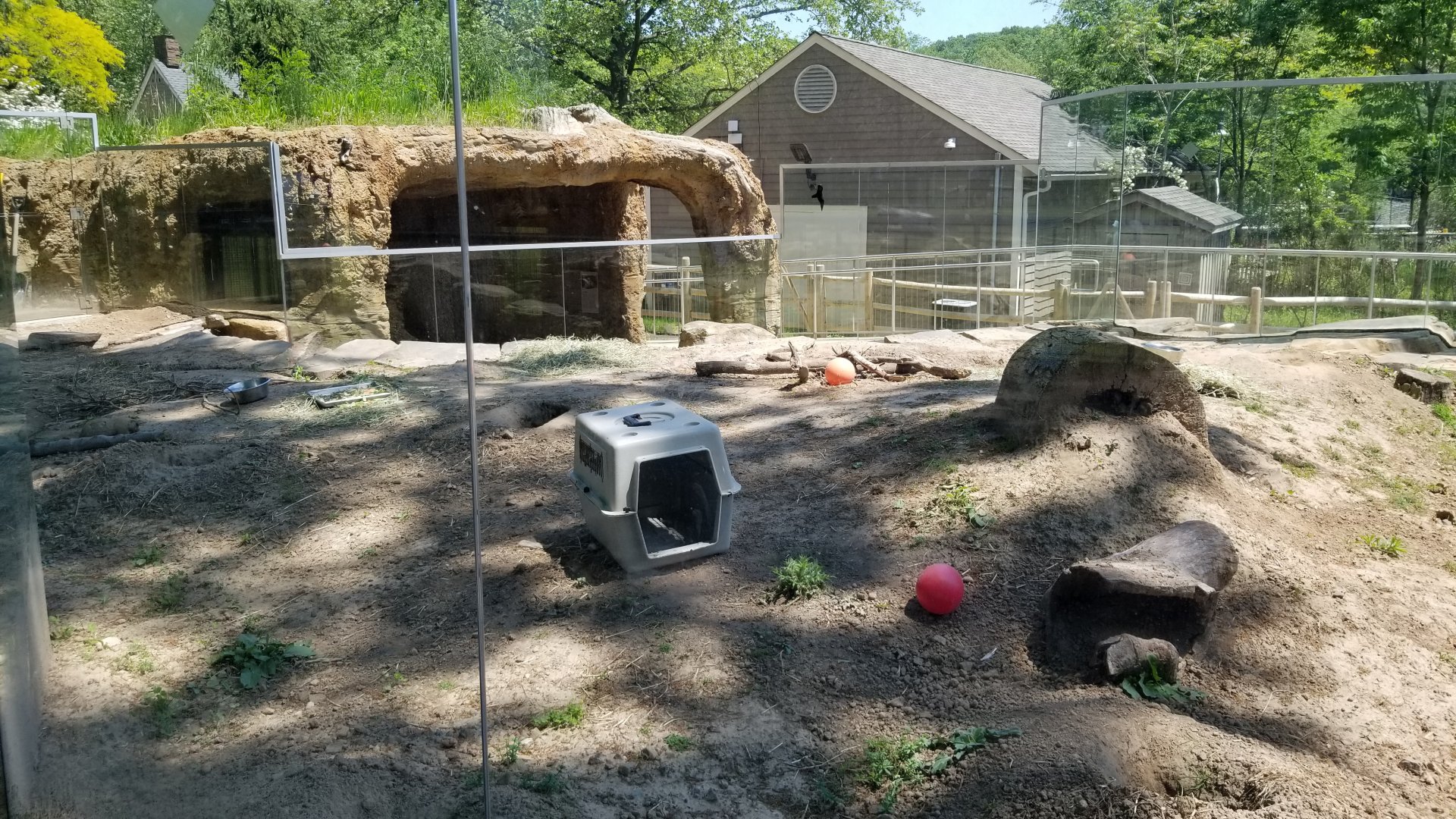 Bergen County Zoo - Black-tailed prairie dogs