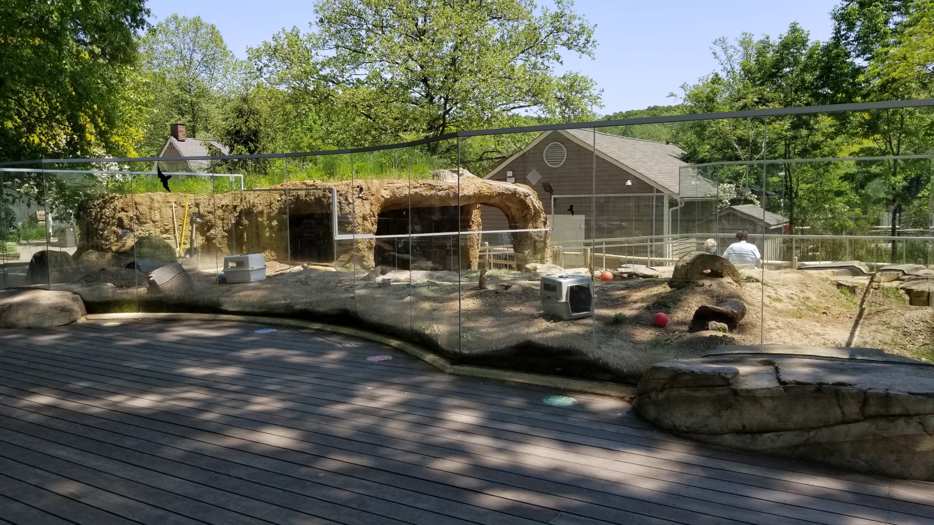 Bergen County Zoo - Black-tailed prairie dogs