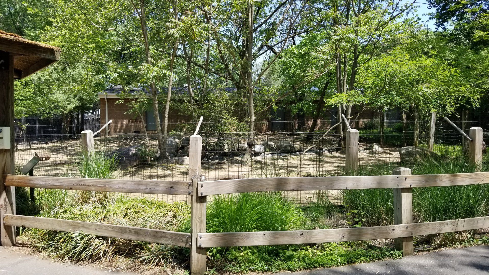 Bergen County Zoo - Central American red brocket, capybara, greater rhea