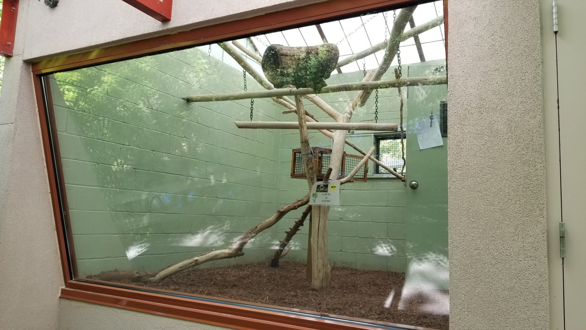 Bergen County Zoo - Cotton-top tamarin indoor area