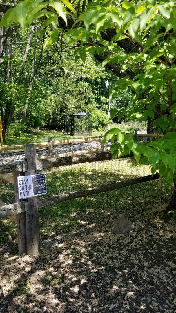 Bergen County Zoo - Exercise area for ambassadors (was empty)