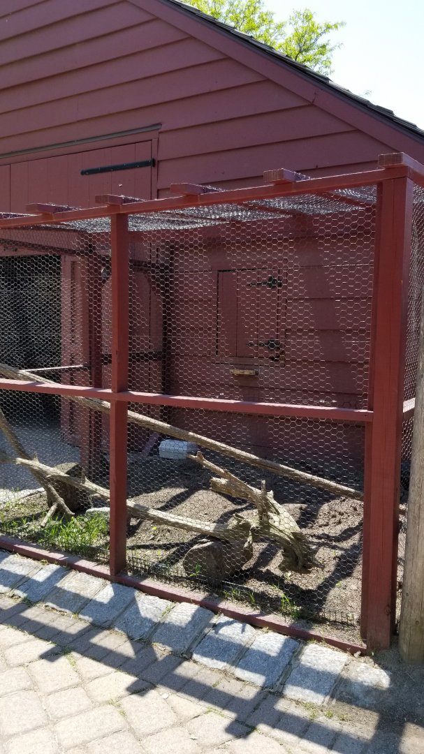 Bergen County Zoo - Farm, empty chicken? area