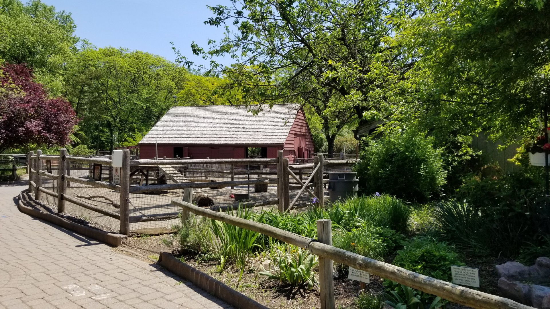 Bergen County Zoo - Farm