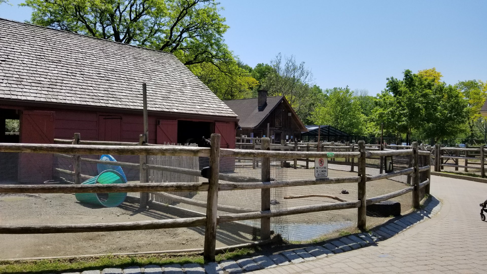 Bergen County Zoo - Farm