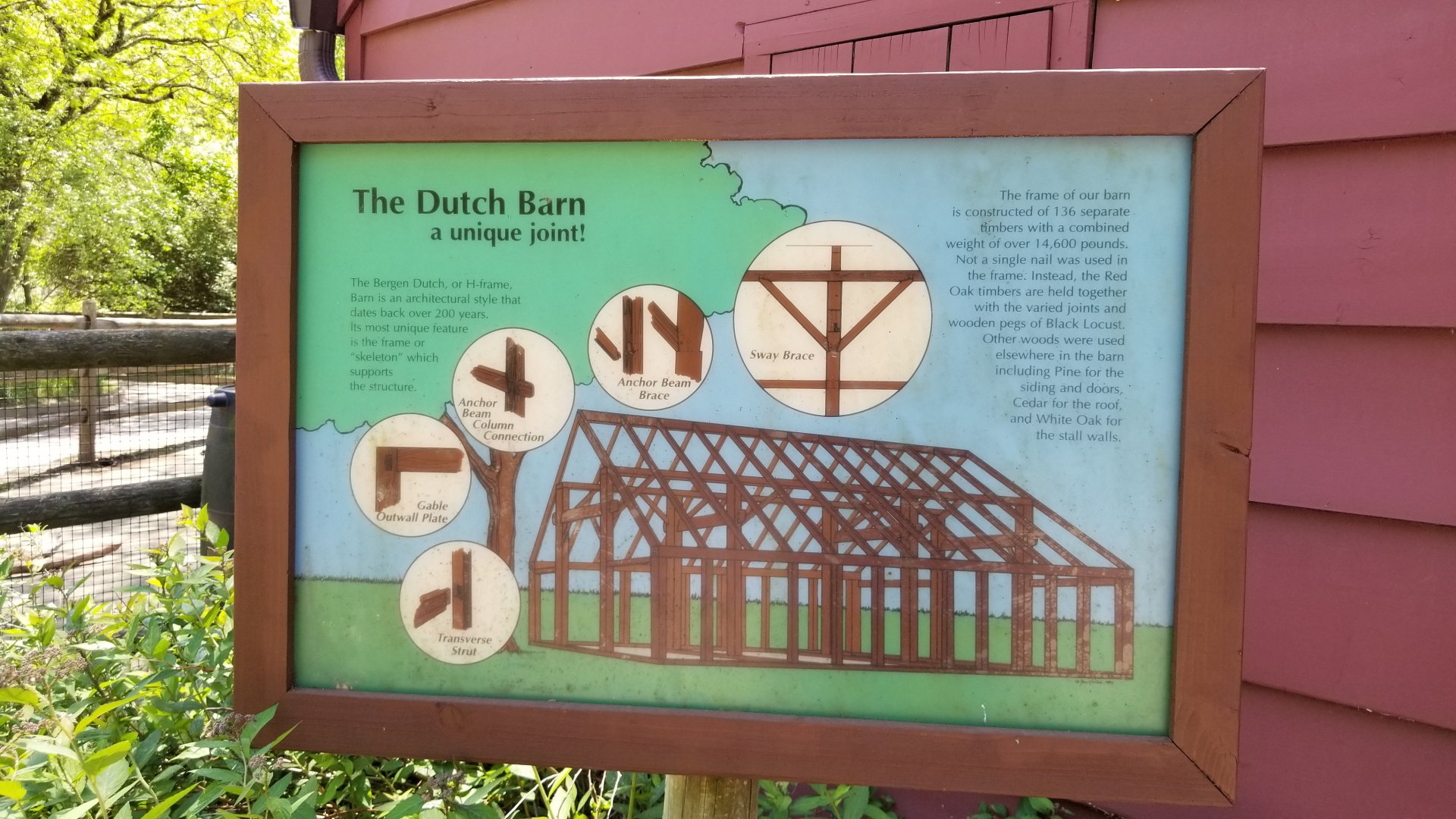 Bergen County Zoo - Farm