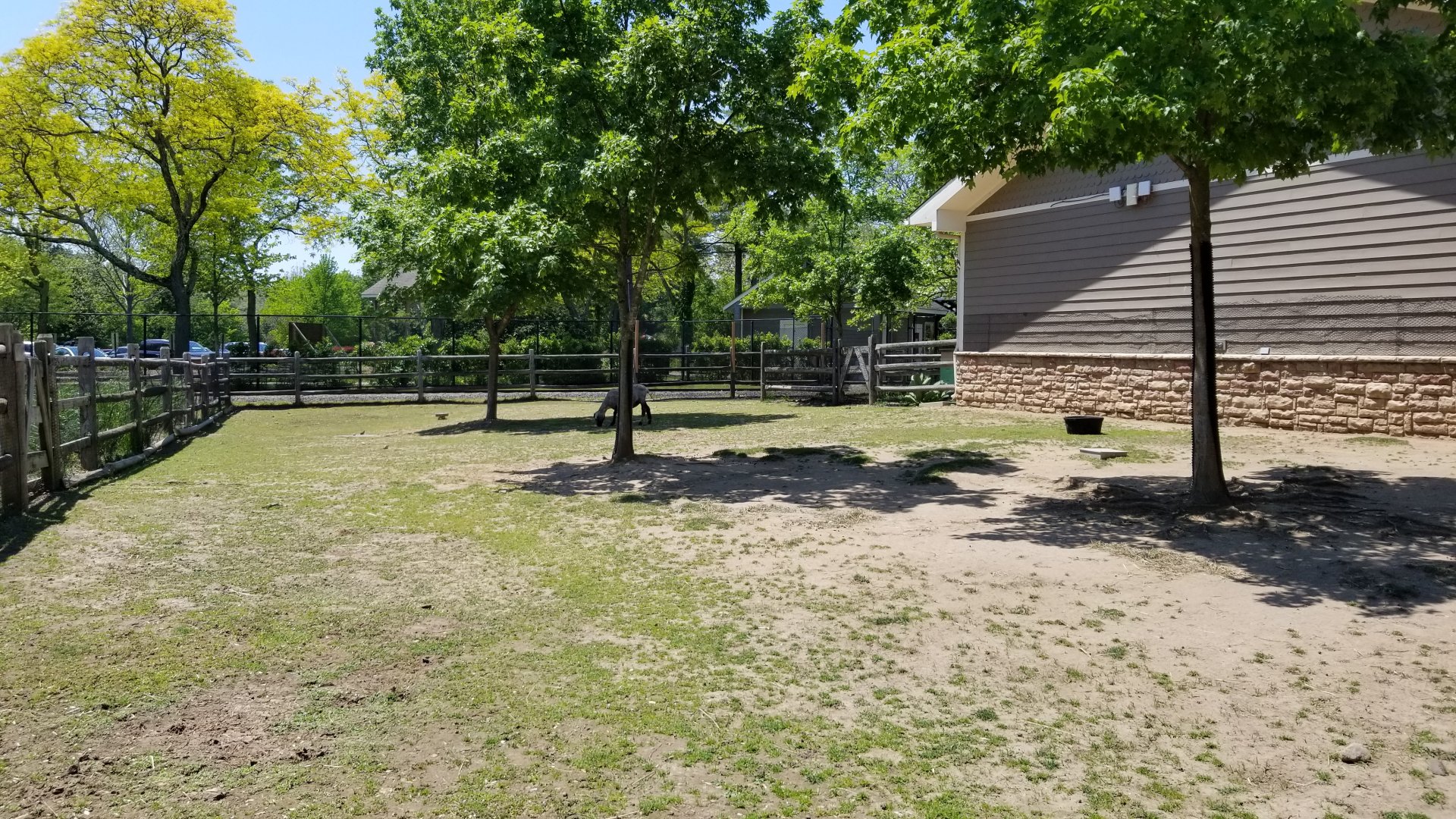 Bergen County Zoo - Farm