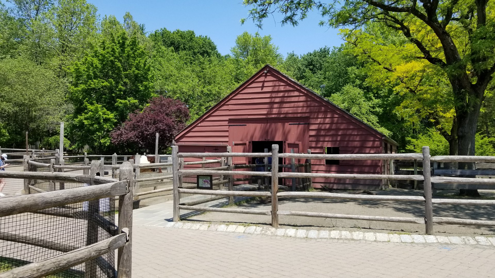 Bergen County Zoo - Farm