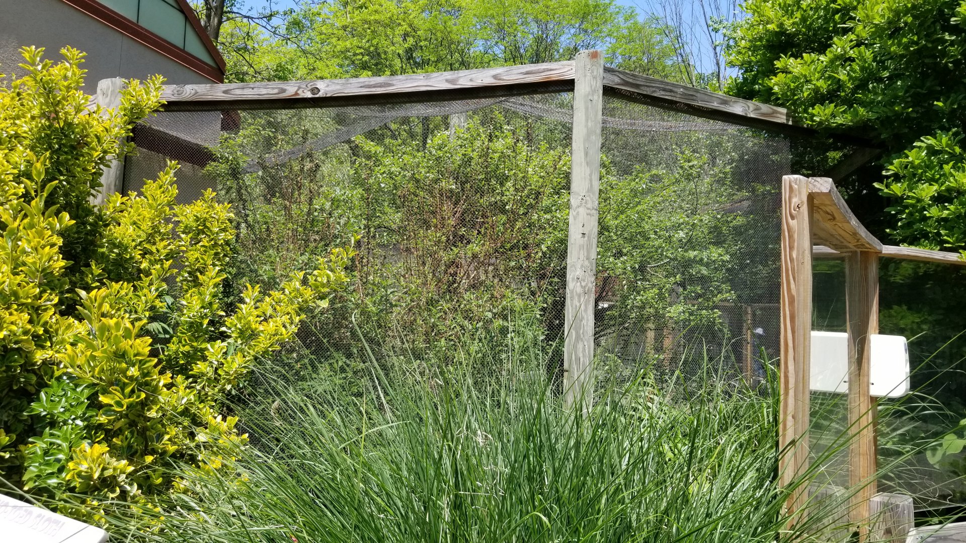 Bergen County Zoo - Goeldi's monkey outdoor area