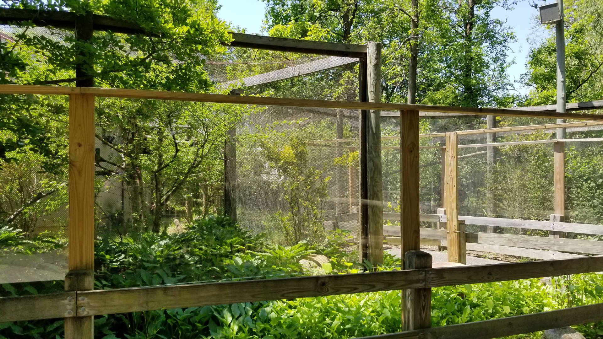 Bergen County Zoo - Goeldi's monkey, sloth outdoor areas