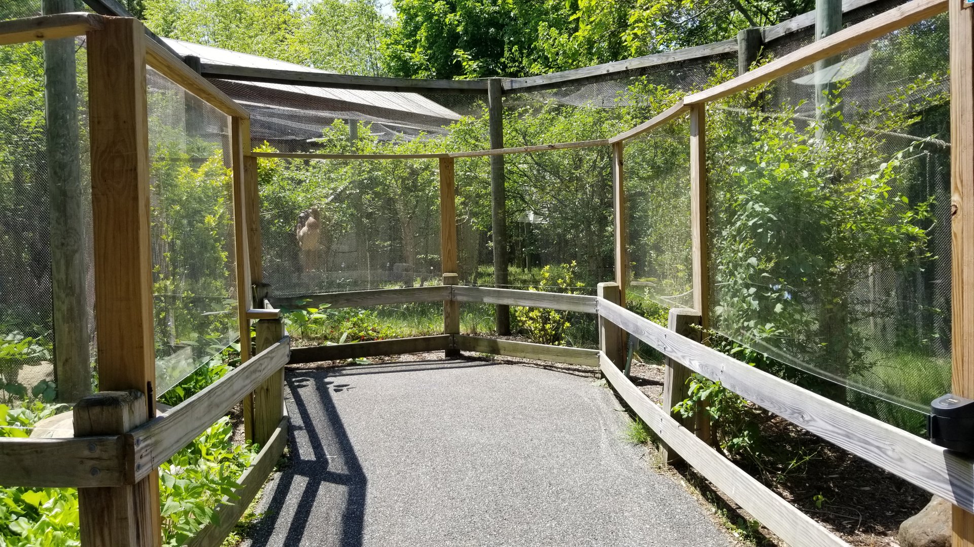 Bergen County Zoo - Goeldi's monkey, sloth outdoor areas
