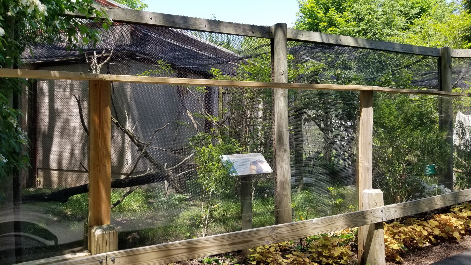 Bergen County Zoo - Golden lion tamarin outdoor area