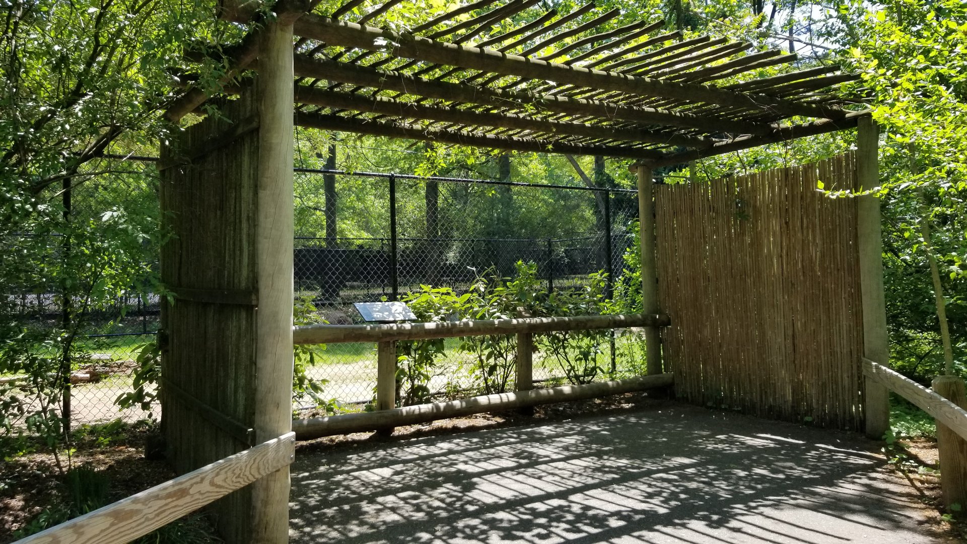 Bergen County Zoo - Guanaco