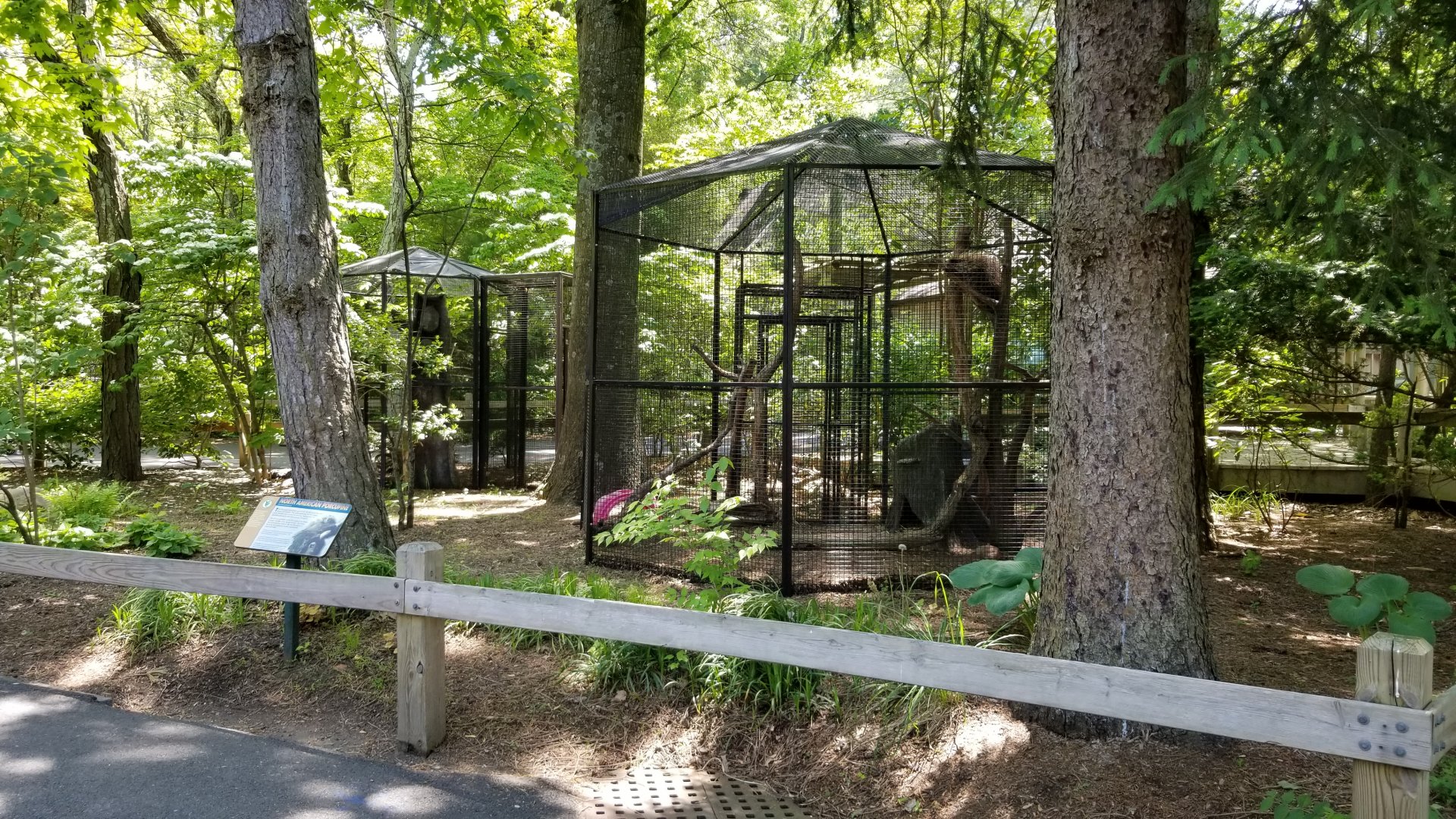 Bergen County Zoo - North American porcupine, screech owl