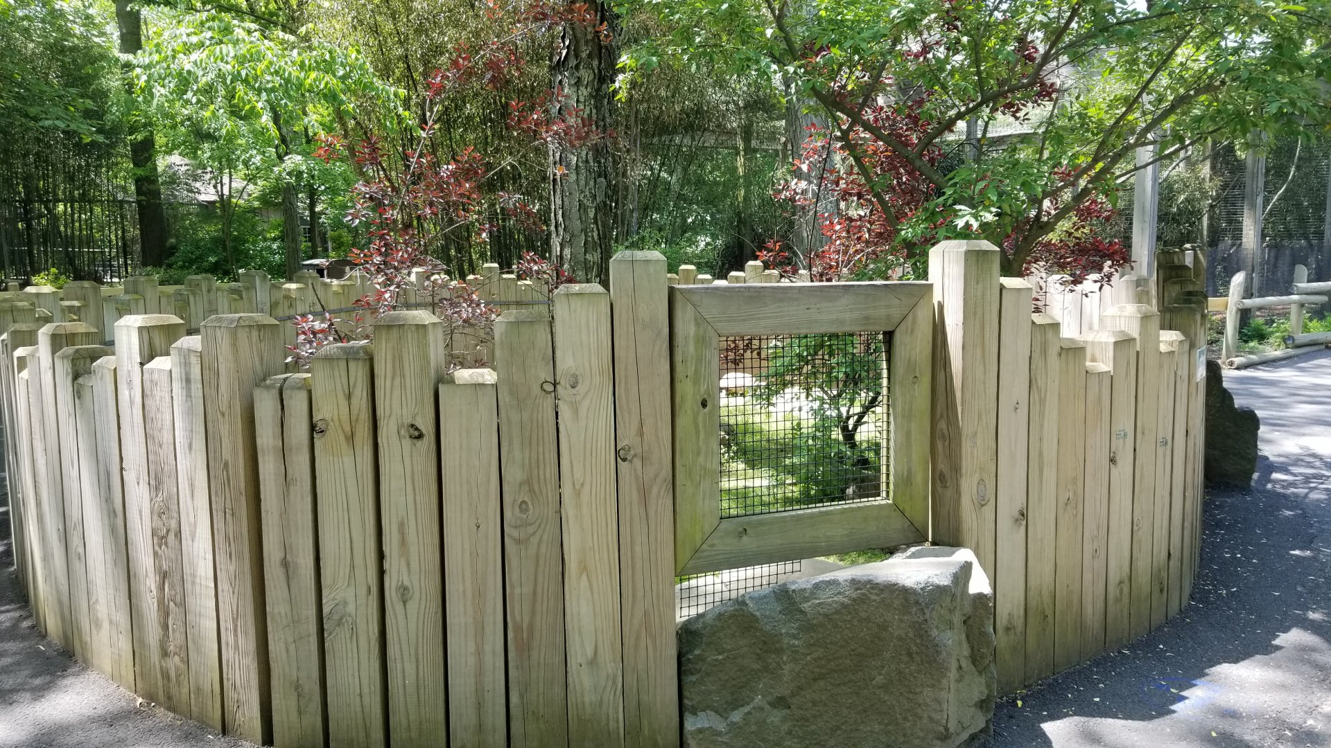 Bergen County Zoo - Red-footed, yellow-footed tortoises