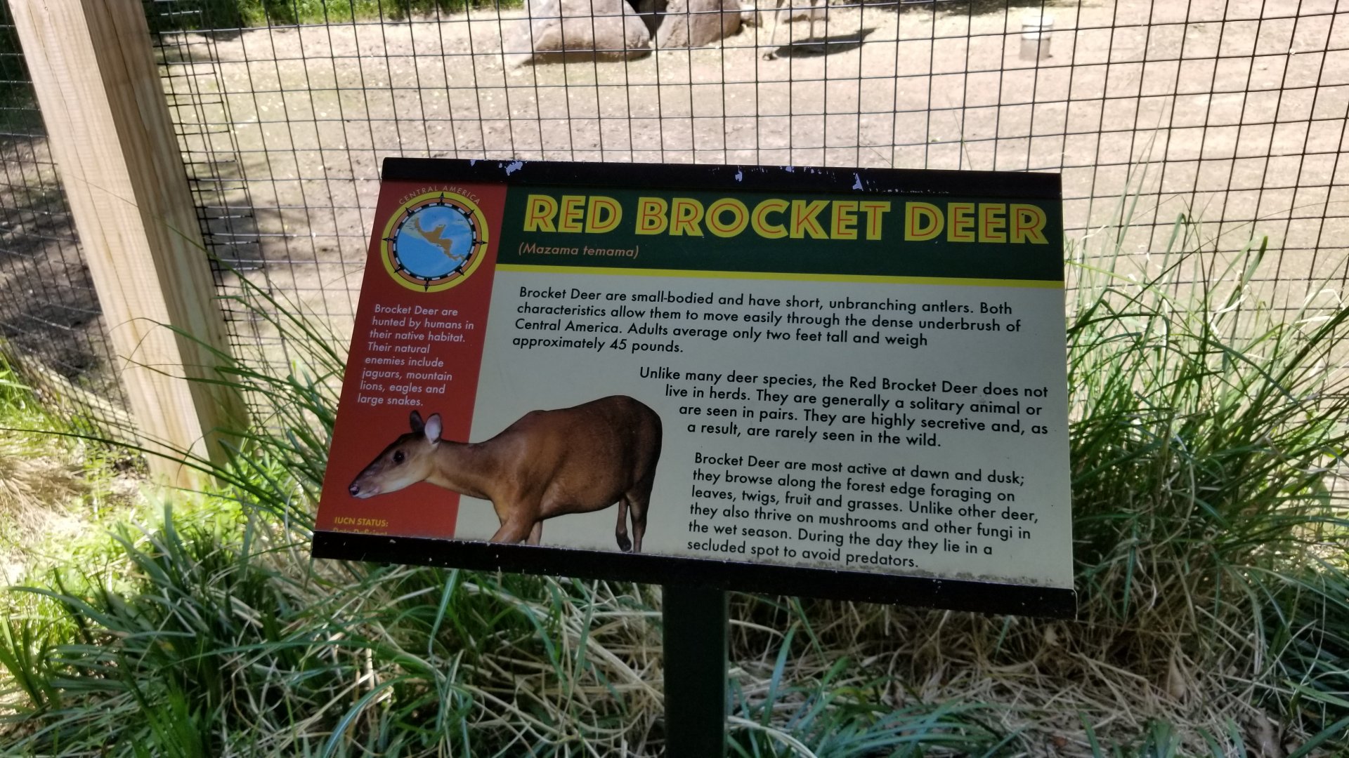 Bergen County Zoo - Signage example, Central American red brocket