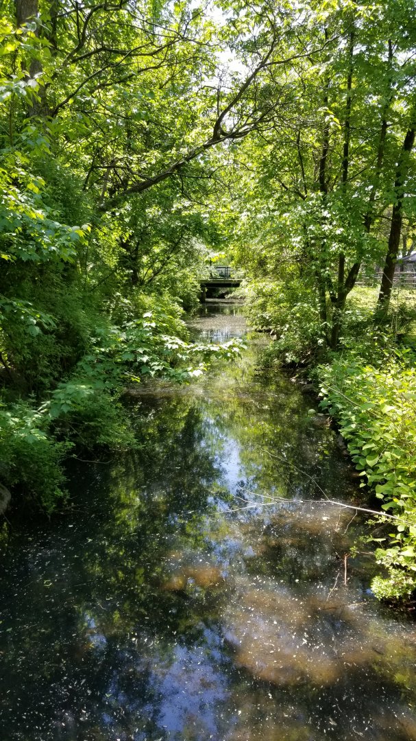 Bergen County Zoo - Stream