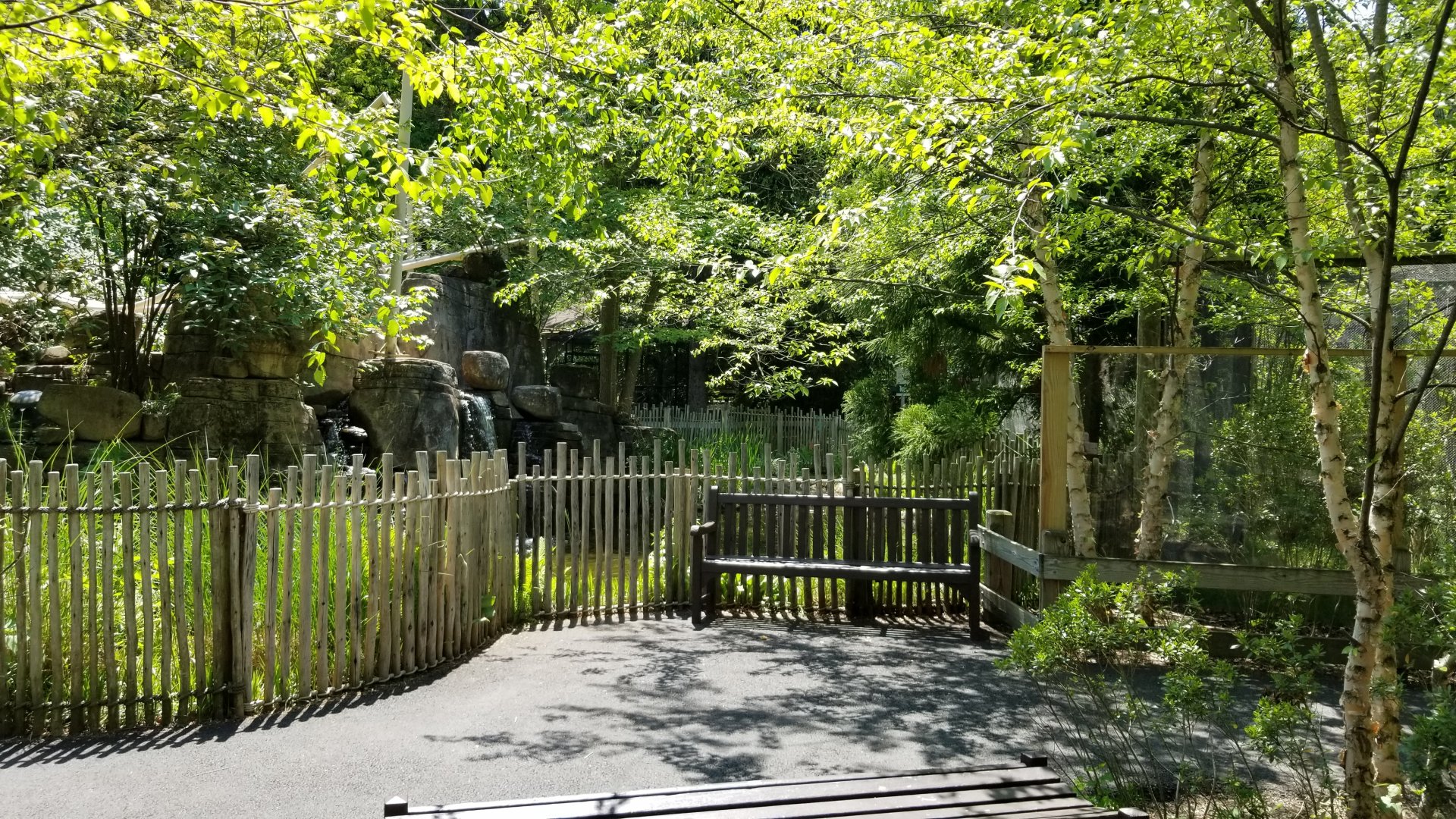 Bergen County Zoo - Water feature behind tamarins