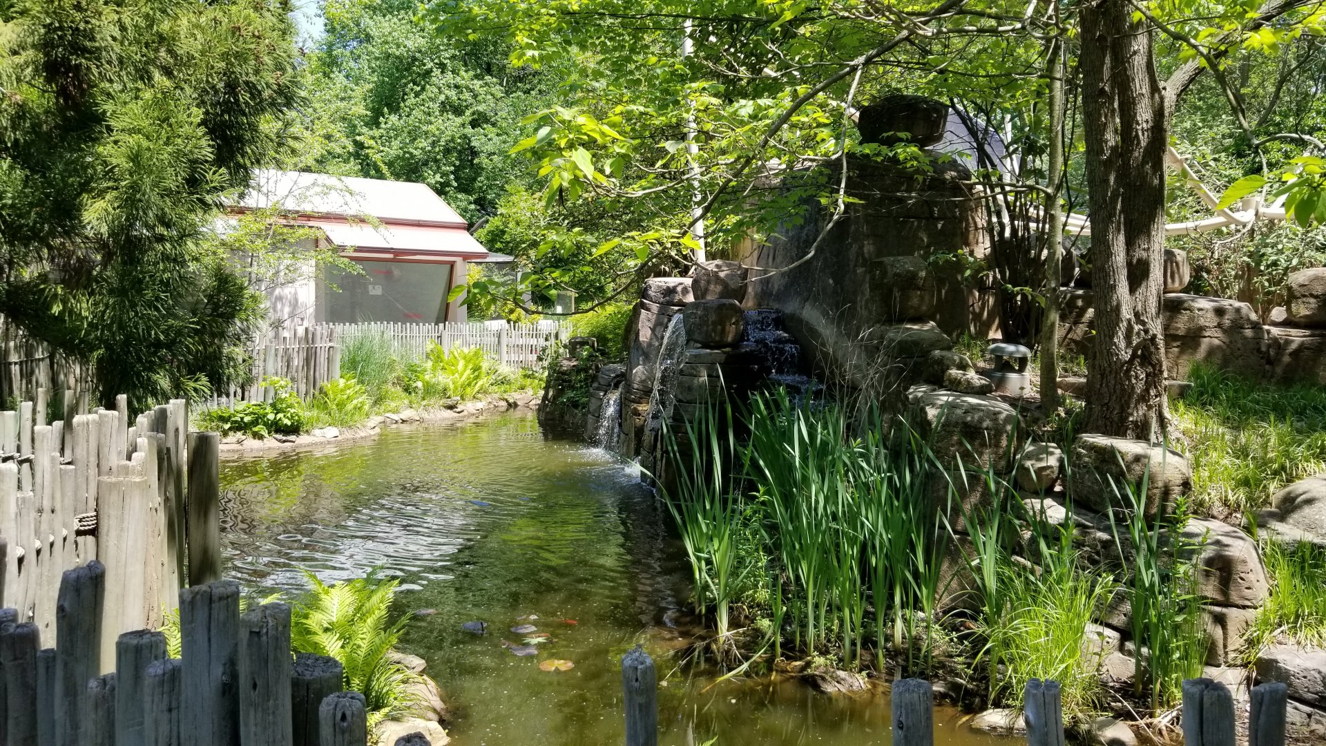Bergen County Zoo - Water feature behind tamarins