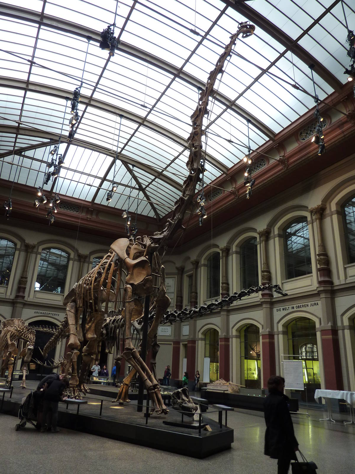 Berlin Museum fur Naturkunde - Main hall