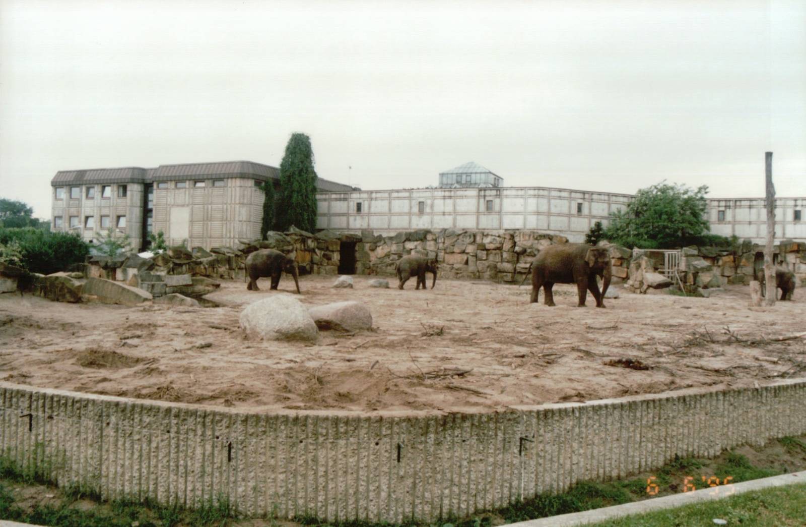 Berlin Tierpark 1995 - Asiatic Elephant exhibit