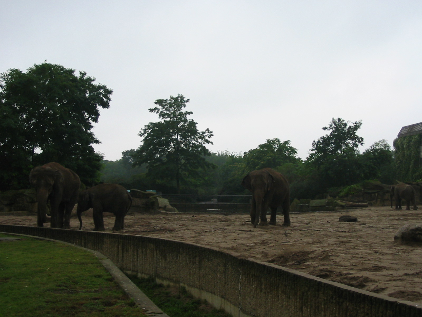 Berlin Tierpark 2004 - Asiatic Elephant exhibit at the Pachyderm House