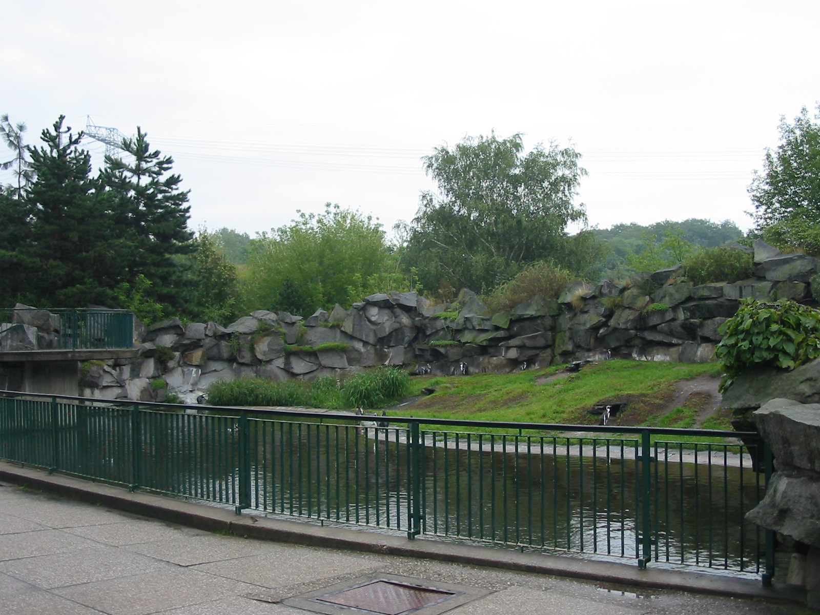Berlin Tierpark 2004 - Front of the Humboldt Penguin exhibit