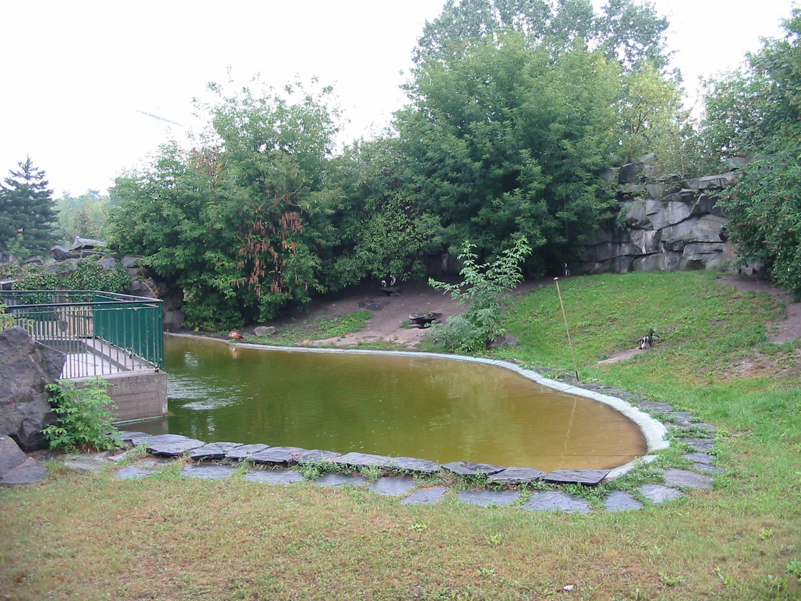 Berlin Tierpark 2004 - Humboldt Penguin exhibit