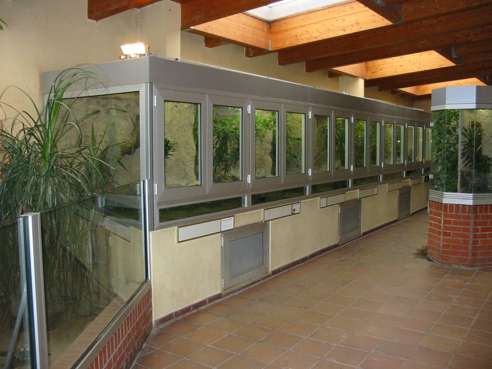 Berlin Tierpark 2004 - Inside the Crocodile House
