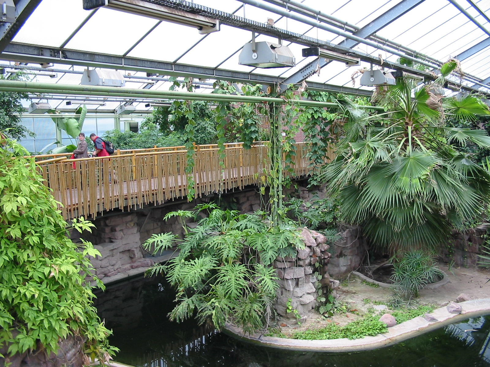 Berlin Tierpark 2004 - Inside the Crocodile House