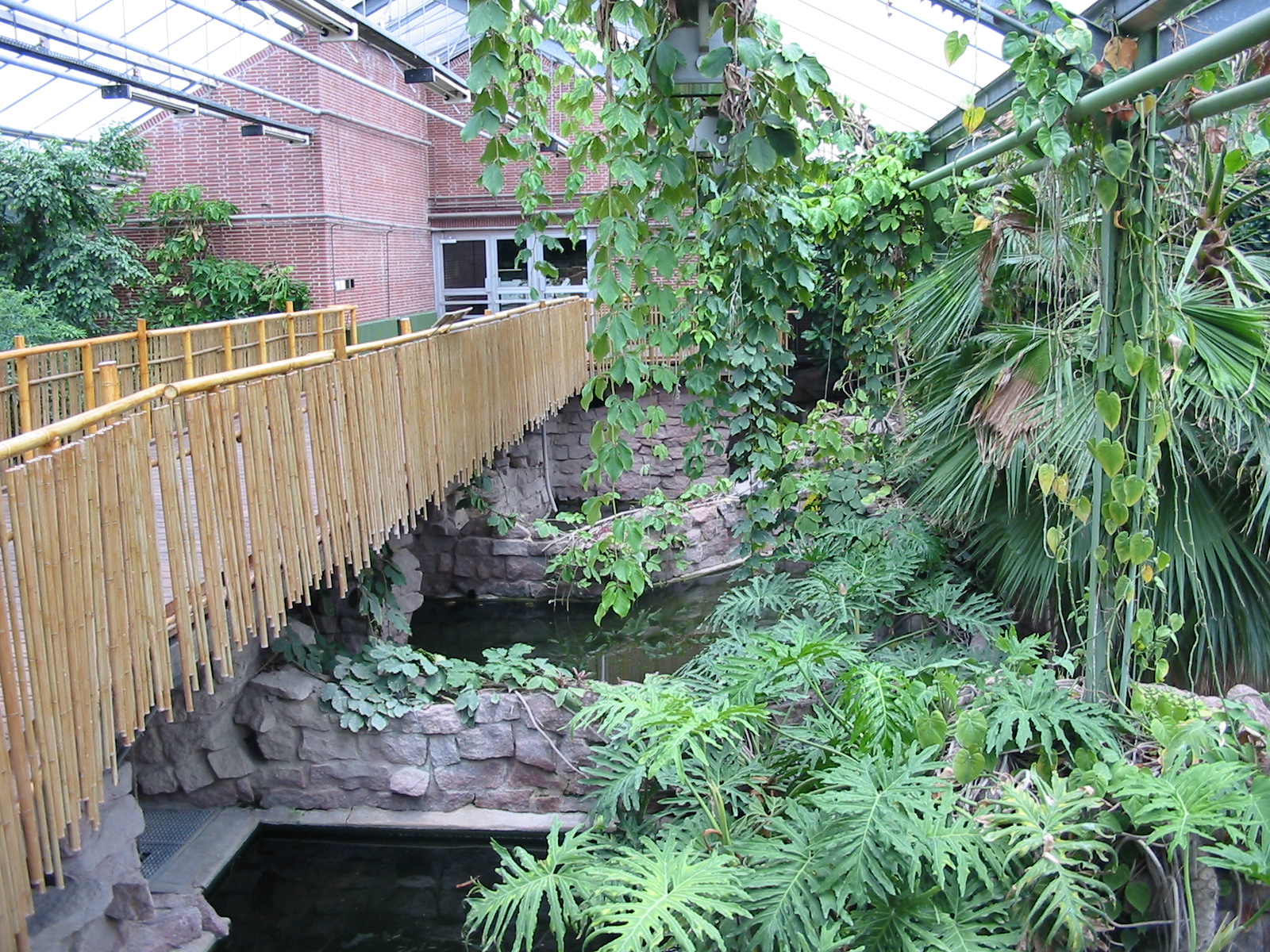 Berlin Tierpark 2004 - Inside the Crocodile House