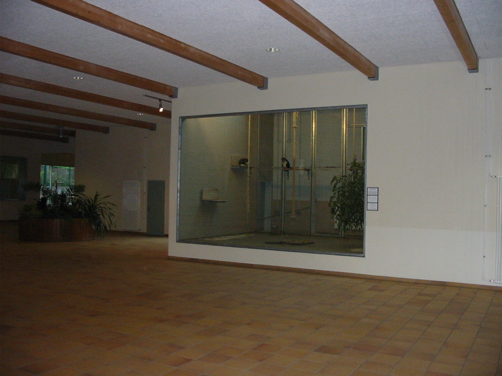 Berlin Tierpark 2004 - Inside the Monkey House