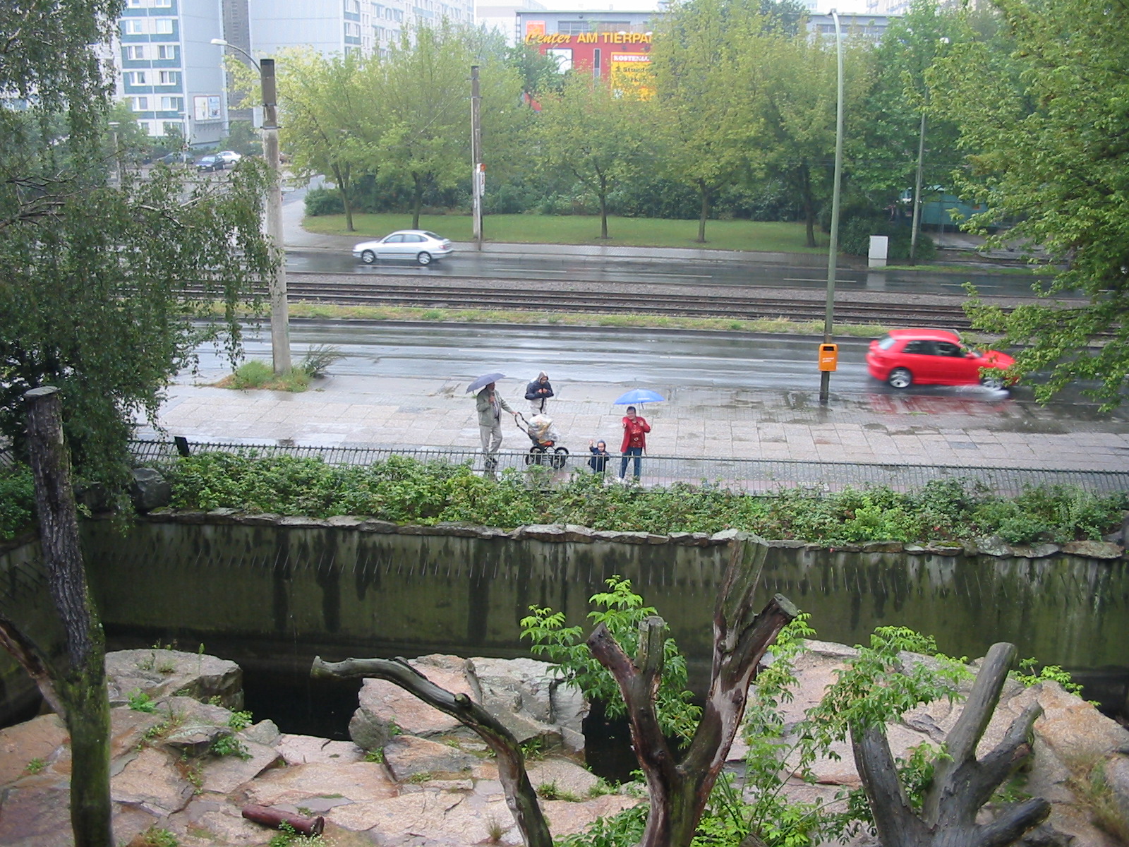 Berlin Tierpark 2004 - Looking over the American Black Bear exhibit and tow