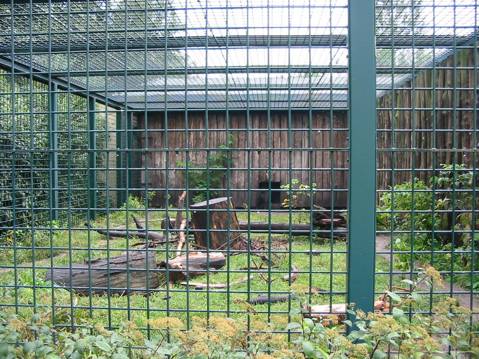 Berlin Tierpark 2004 - Malayan Sun Bear enclosure