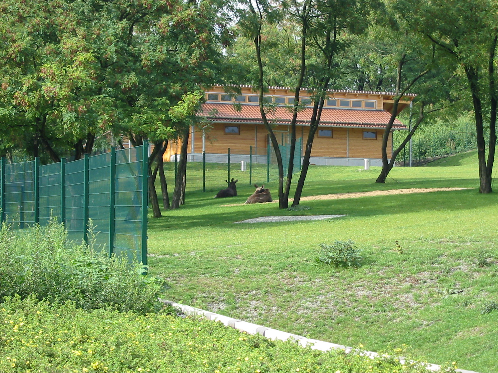 Berlin Tierpark 2004 - Moose enclosure