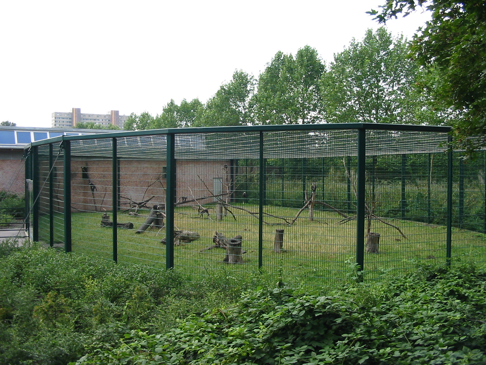 Berlin Tierpark 2004 - Outdoor enclosure at the Monkey House