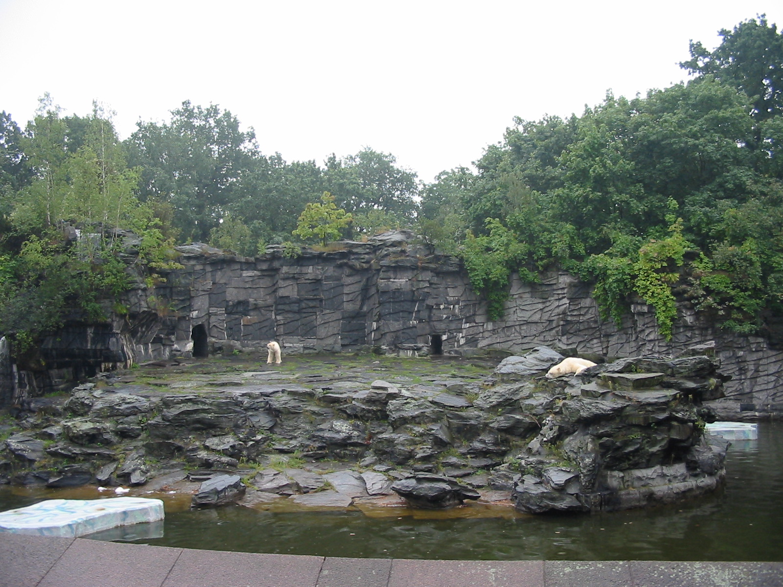 Berlin Tierpark 2004 - Polar Bear exhibit