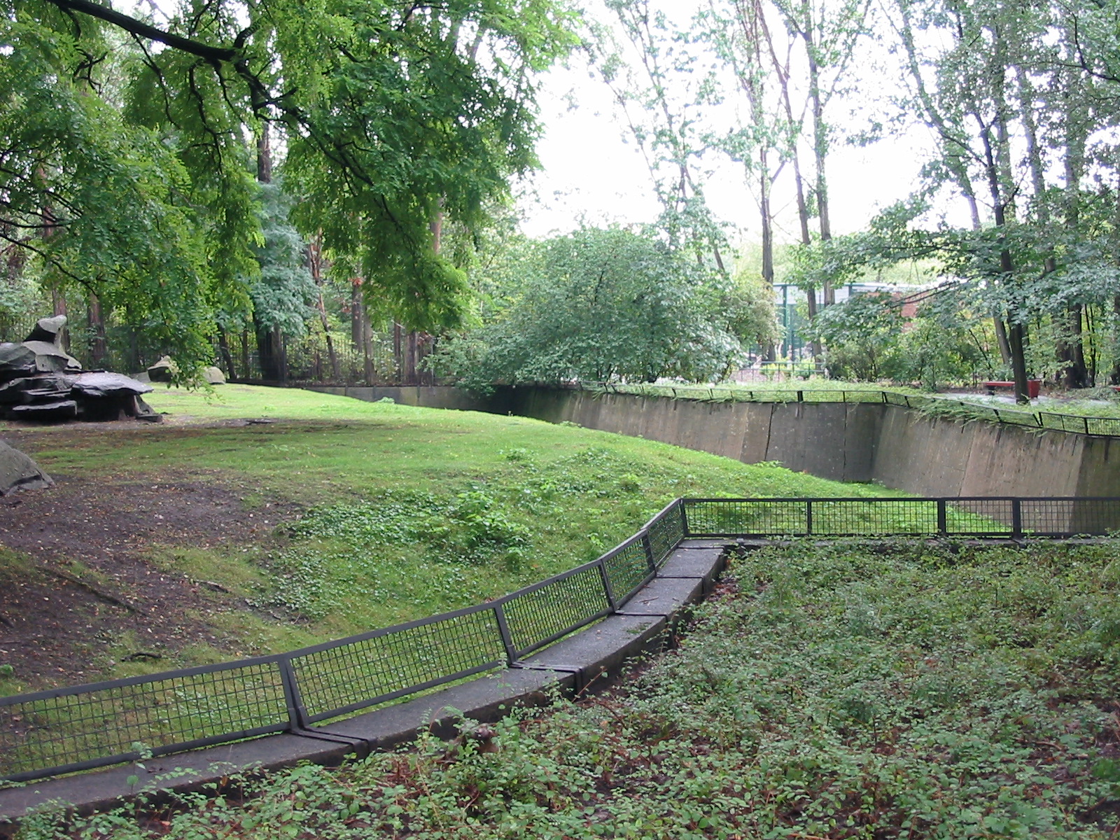 Berlin Tierpark 2004 - Rocky Mountain Goat exhibit